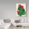 Trademark Fine Art Sher Sester 'Red Geranium' Canvas Art, 35x47 ALI20852-C3547GG